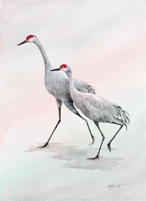 Sandhill Crane Watercolor Workshop Jan 24th And More Updates From