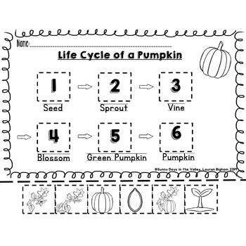 Life Cycle Of A Pumpkin Sequencing Coding And Cut Paste Tpt