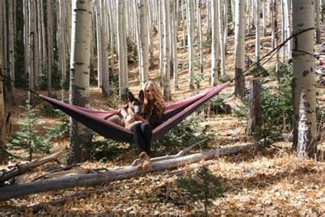 Hike The Lockett Meadow Inner Basin Trail In Flagstaff Az Karabou