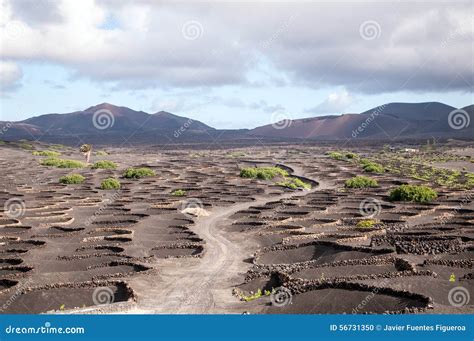 Landscape Of Lanzarote Stock Photo Image Of Mountains 56731350