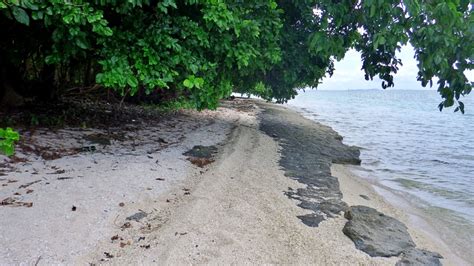 Canigao Island: Beach Walk