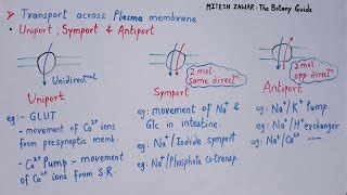 UNIPORT SYMPORT AND ANTIPORT Transport across Cell Memb... | Doovi