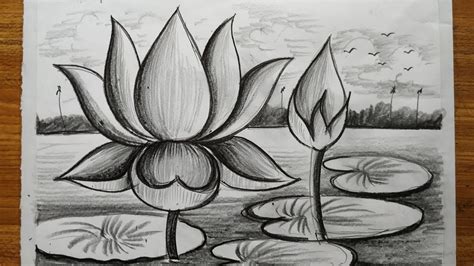 How To Draw A Lotus Flowers Very Esy Step With Pencil For Beginners