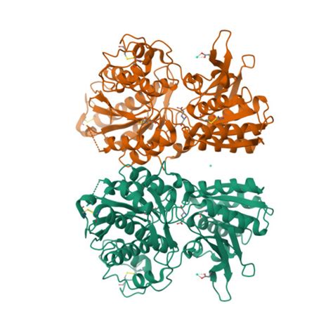 Rcsb Pdb Isr Crystal Structure Of Metabotropic Glutamate Receptor