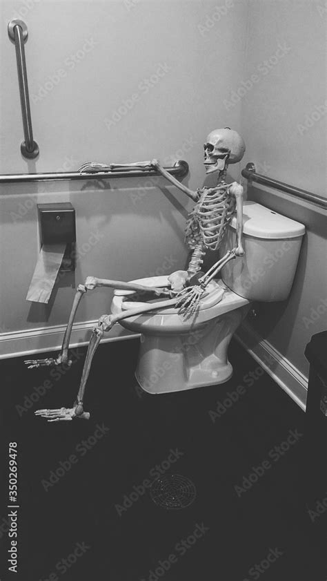 Human Skeleton Sitting On Toilet Bowl In Bathroom Stock Photo | Adobe Stock