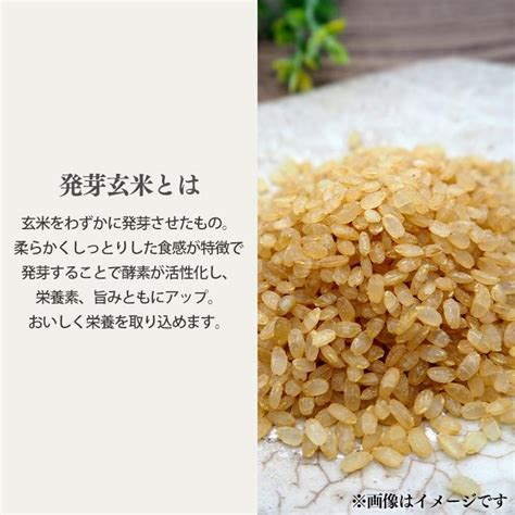 おかゆ もち麦 発芽玄米おかゆ もち麦おかゆ 250g アイリスフーズ M311168ゆにでのこづち Yahoo店 通販