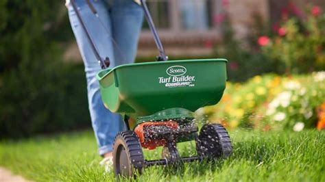 Why Should You Fertilize Your Lawn In The Fall