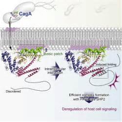 Tertiary Structure Function Analysis Reveals The Pathogenic Signaling