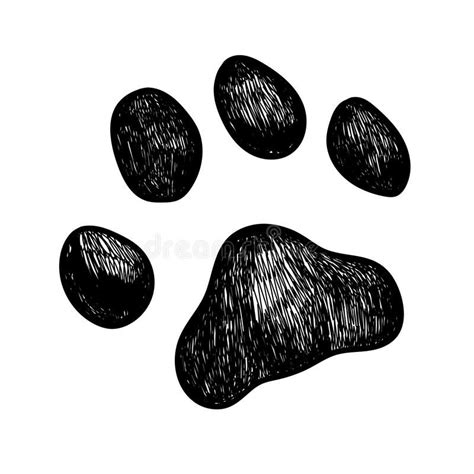 Vector dog paw print. Vector illustration sketch of a dog paw print , #ad, #paw, #dog, #Vector ...