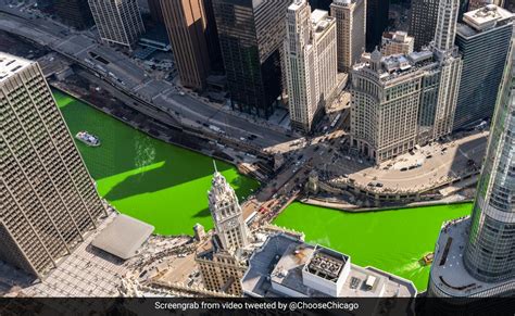 Watch Chicago River Turns Green For St Patrick S Day Know The History