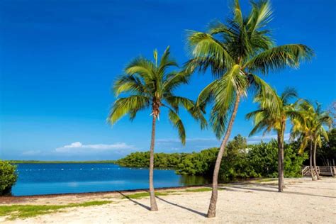 7 Best Beaches in Key Largo - Private And Public - The Planet D