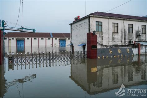 “从没见过那么大水” 直击安徽鹤毛： 上海消防救援人员搜救到深夜