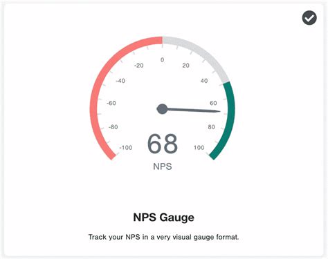 13 Net Promoter Score Nps Visualizations To Create Your Nps