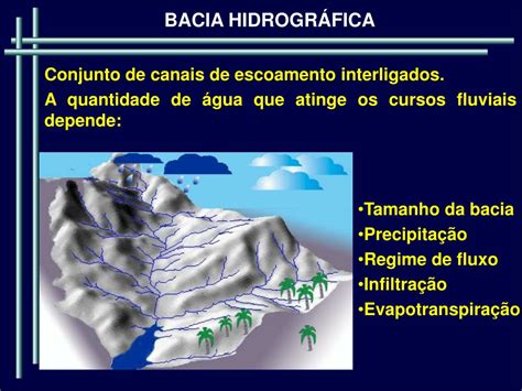 Ppt Bacia Hidrogr Fica Prof Zuleide Lima Powerpoint Presentation