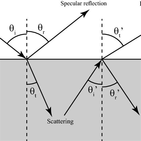 Schematic Illustration Of The Process For Specular And Diffuse