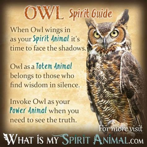 Spirit Totem And Power Animals Spirit Animal Meanings And Symbolism