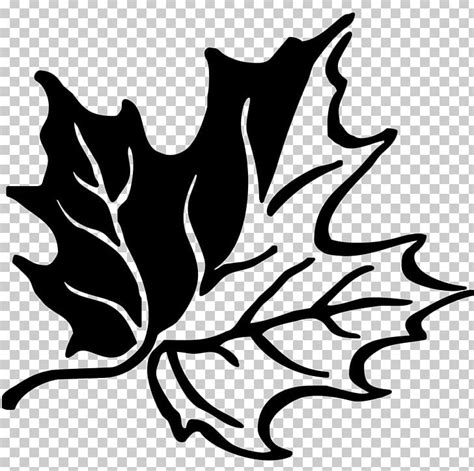 Canadian Gold Maple Leaf Template Canada PNG, Clipart, Artwork, Black ...