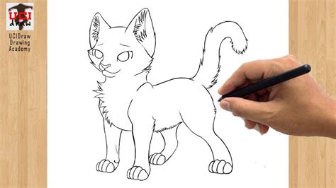 How To Draw A Warrior Cat Kit Step By Step