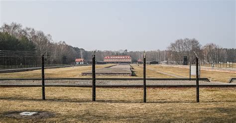 Duitse Oud Secretaresse 96 Concentratiekamp Opgepakt Sloeg Op De