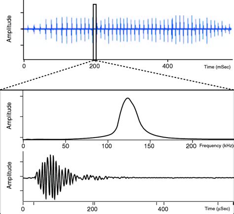 A " train " of high-frequency Hector's dolphin clicks, with a " zoomed... | Download Scientific ...