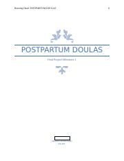 Final Project Part 1 Docx Running Head POSTPARTUM DOULAS POSTPARTUM