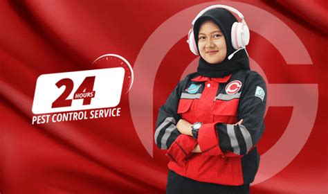 Jasa Fogging Nyamuk Di Semarang 0813 8299 9966 Garda Pest