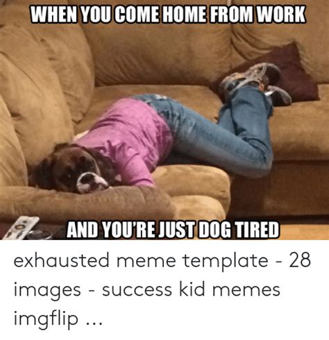 19++ Dog meme template download ideas