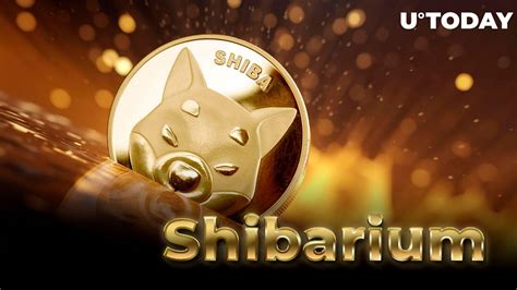 Shiba Inus Shibarium Records Groundbreaking Transaction Milestone