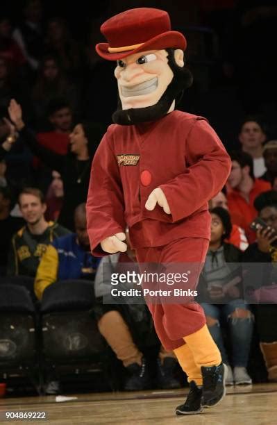 41 Iona Mascot Stock Photos, High-Res Pictures, and Images - Getty Images