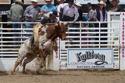 Bull Riding Sisters Oregon Rodeo 2011 Editorial Stock Image Image