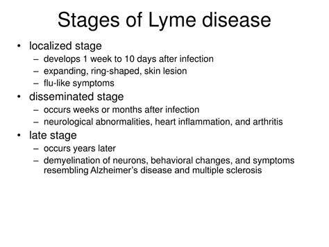 Lyme Disease Symptoms And Stages