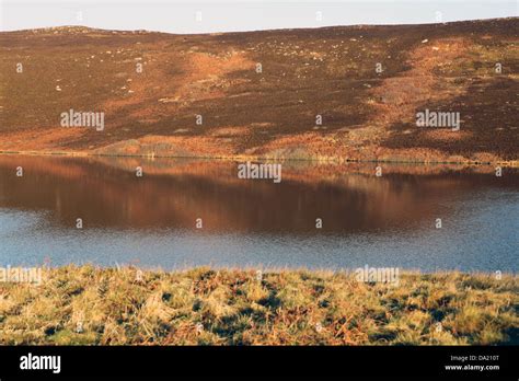 Dunnet Head Coastal Walk Peninsula In Caithness Most Northerly