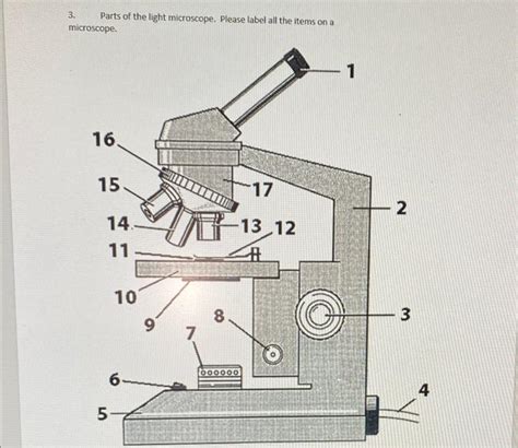 Solved 3. Parts of the light microscope. Please label all | Chegg.com