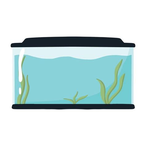 Rectangular Aquarium Empty Aquarium With Algae Vector Illustration In