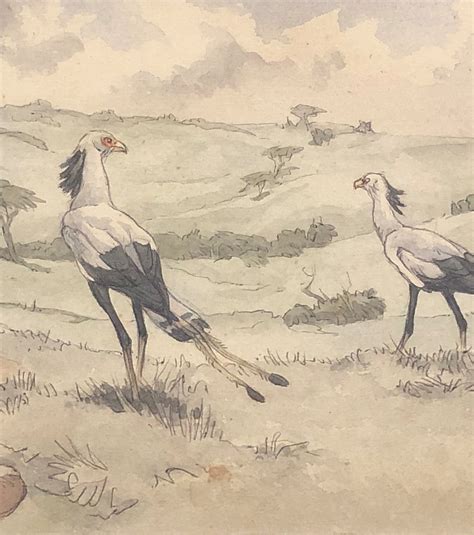 Antiques & Collectors