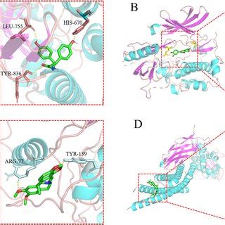 Three Dimensional Diagram Of Binding Sites Between Active Compounds And