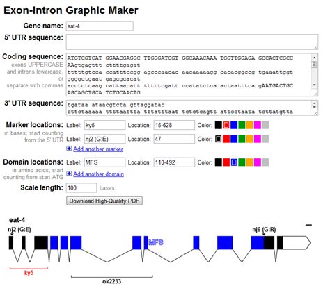 Making Dna Look Simple Again By Nikhil Bhatla