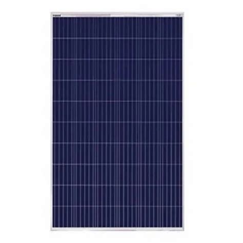 Polycrystalline Livguard Solar Pv Panel 100W 12V At Rs 3800 Piece In