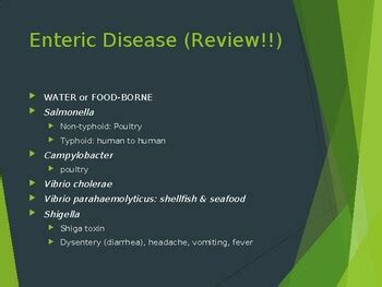 Gram Negative Infections BIOL204 by Q College | TPT