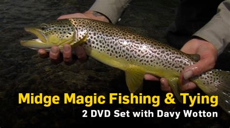 Dvds Fly Fish Tv