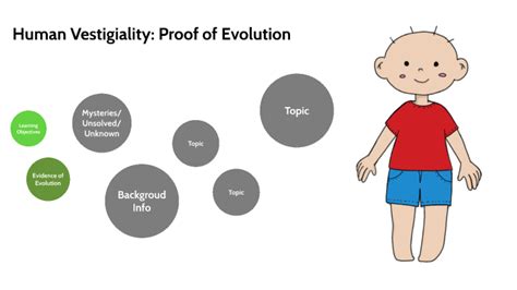 Human Vestigiality Proof Of Evolution By Mileny Ve On Prezi