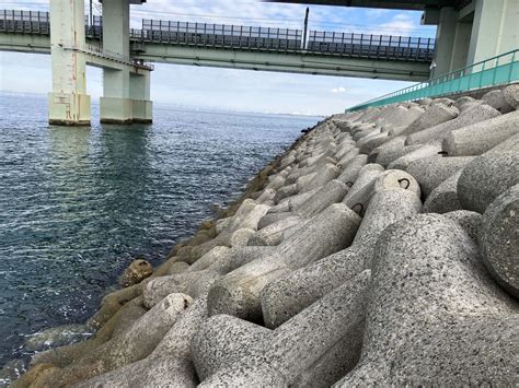 【大阪・りんくう公園～関空橋下～】青物・アコウ・タコが狙える釣り場紹介！魚影の濃さは大阪トップクラス！ アウトドア子育て