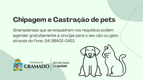 Mais De Animais Foram Castrados E Chipados Jornal Integra O