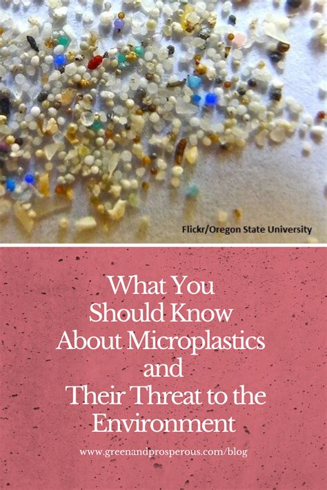 What You Should Know About Microplastics And Their Threat To The Environment — Green And Prosperous