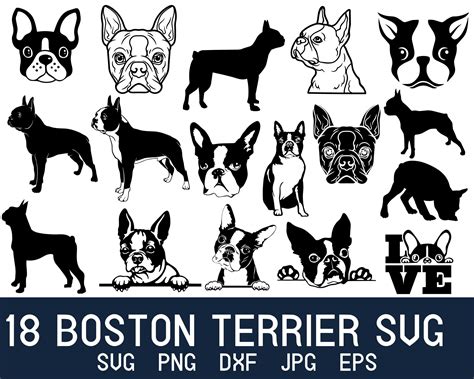 Boston Terrier Svg Dog Mom Svg Bulldog Svg Boston Terrier - Etsy