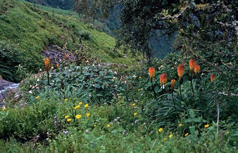 Semien Mountains Ethiopia 1973