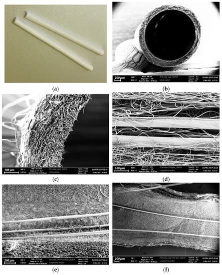 Polymers Free Full Text Properties Of Resorbable Conduits Based On