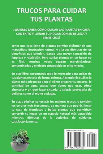 TRUCOS PARA CUIDAR TUS PLANTAS Cómo cuidar las plantas de inter