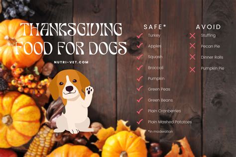 Thanksgiving Food That Is Safe For Dogs Guide Nutri Vet