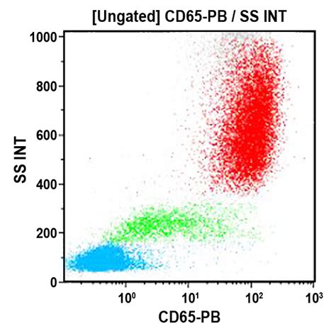 Cd65 Antibodies Beckman Coulter Life Sciences